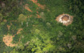 /album/fotogaleria-venezuela-zajazd/zajazd-venezuela-jamajkanita-113-jpg/